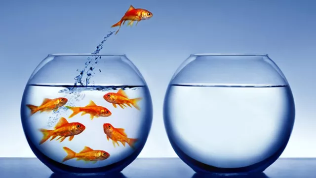 Bild: Change Management und Lernen in Organisationen
