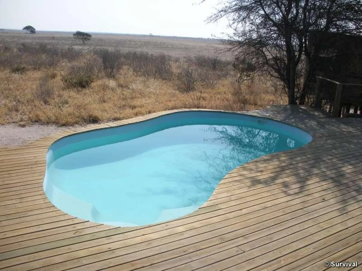 Schwimmingpool im neuen Ressort von Wilderness Safaris im Central Kalahari Game Reserve. © Survival