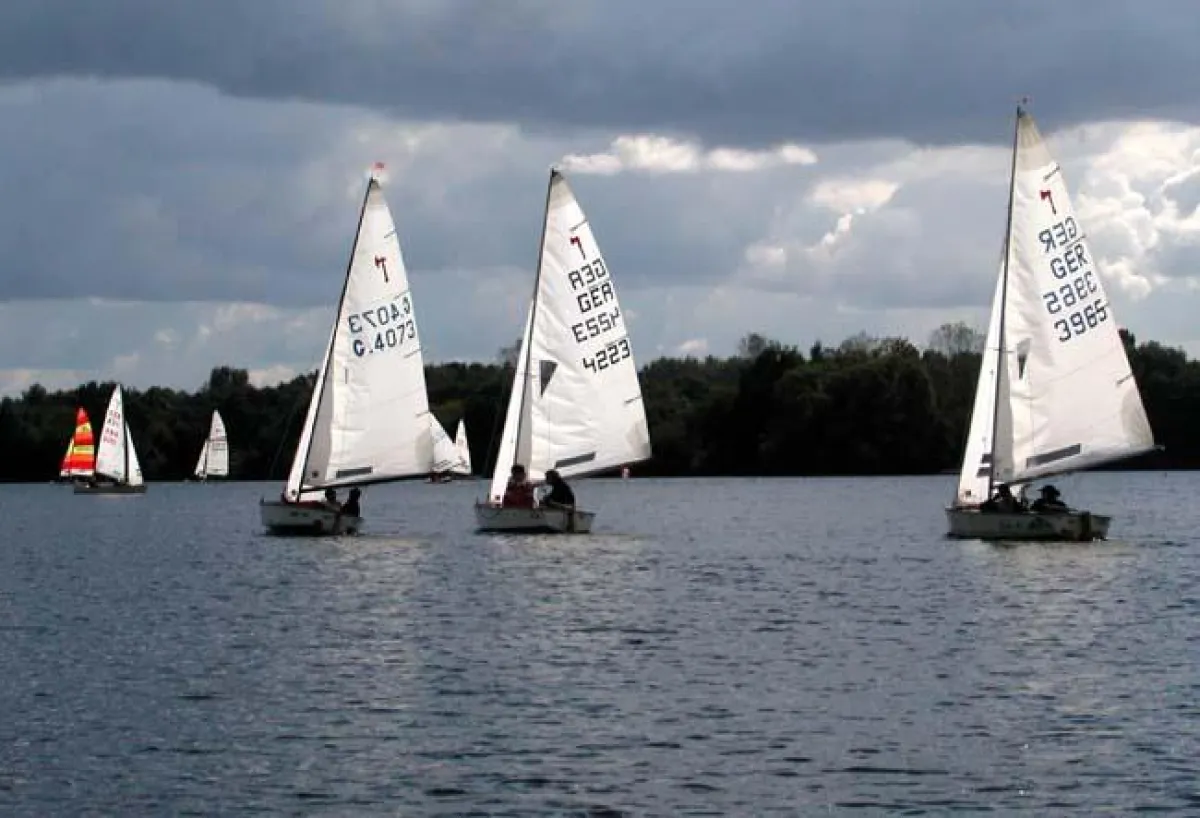 Regattasegeln in Düsseldorf
