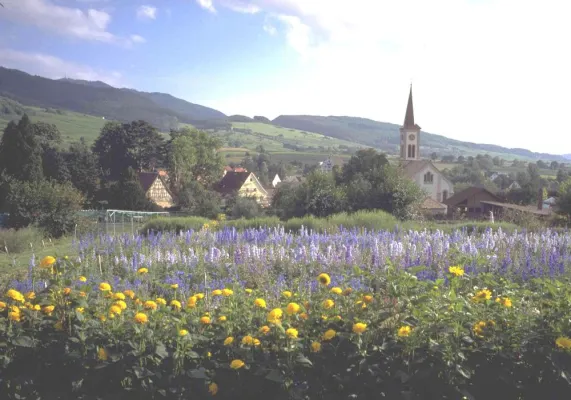 Bild: Das Markgräflerland schärft sein Profil als attraktive Urlaubsregion