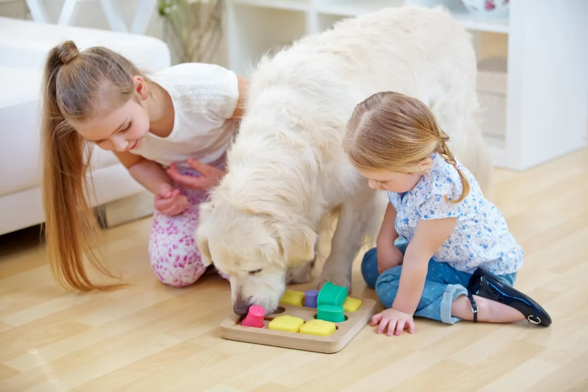 Foto: adobe stock
