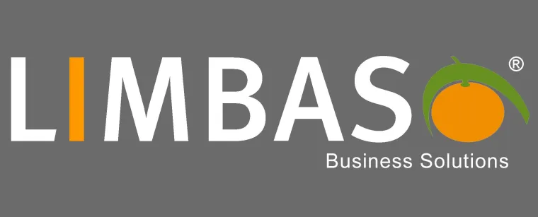 Bild: Limbas Low Code - ist deine Lösung