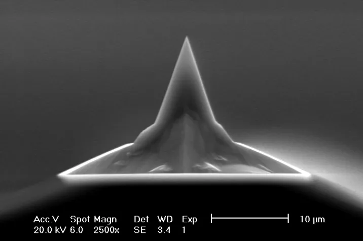 Bild: BudgetSensors® geht mit neuer Webseite online