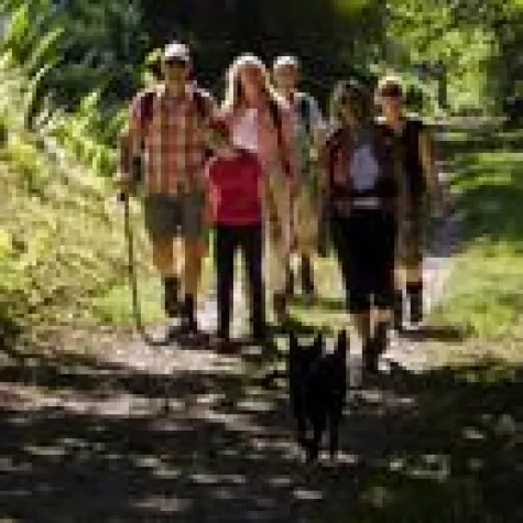 Bild: Hiking auf dem Neckarsteig – Wandern neu entdecken