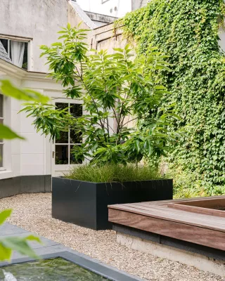 Bild: Gartensaison 2025 - diese Pflanzkübel für außen sind im Trend