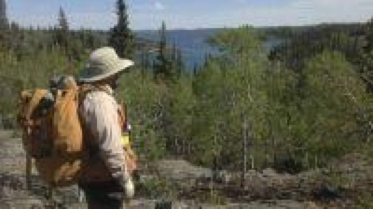 Quelle: Treasury Metals