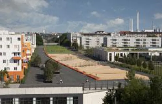 Bild: Die Wüste lebt – auf der Münchener Theresienhöhe