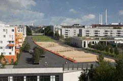 Bild: Die Wüste lebt – auf der Münchener Theresienhöhe