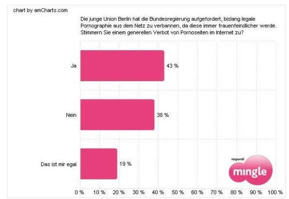 Bild: Geteilte Meinung zum Verbot von Internetpornographie