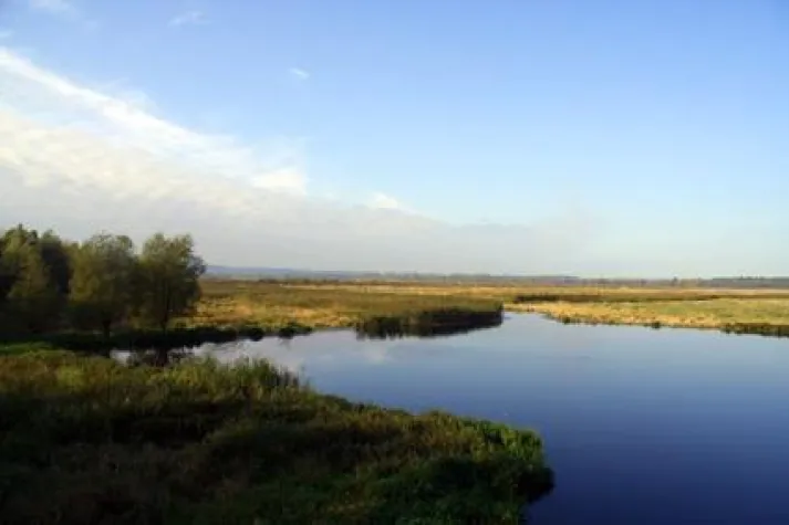 CO2OL CliMates – Moore und Wälder für unser Klima Bild: CO2OL CliMates – Moore und Wälder für unser Klima