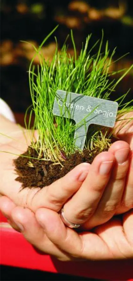 Gewinner - Ihr Lichtblick 2009