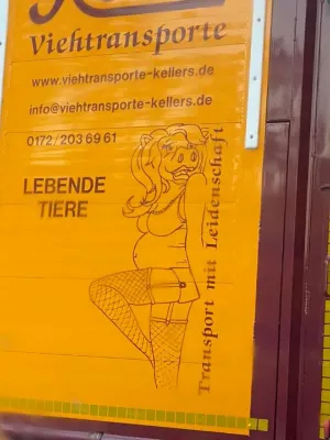 Bild: Werberat rügt Firma für Tiertransporte wegen sexistischer Werbung 