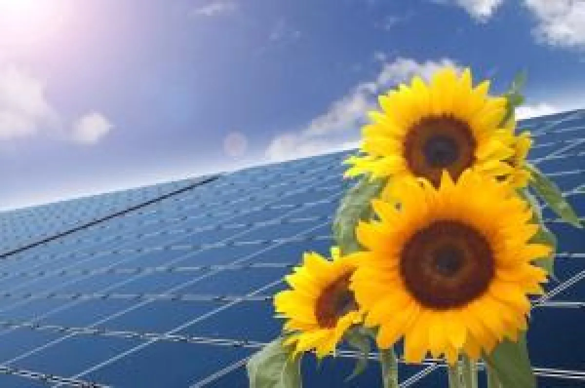 Umweltschonende Solaranlagen der Ever Energy Group