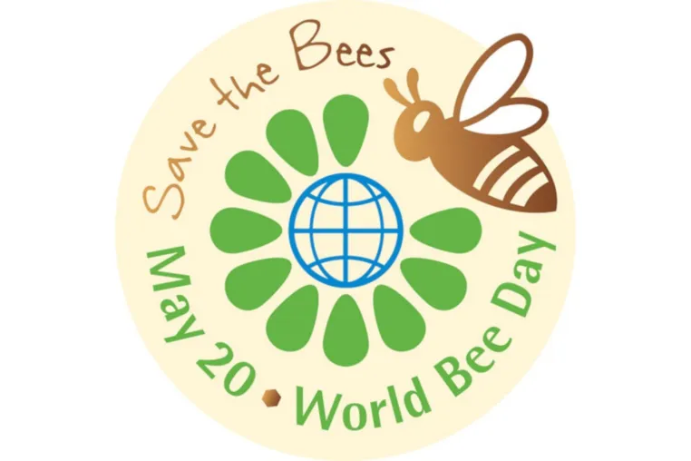 Bild: Weltbienentag 2024: Die unverzichtbare Rolle der Bienen bei der Bestäubung und die Vielfalt ihrer Produkte