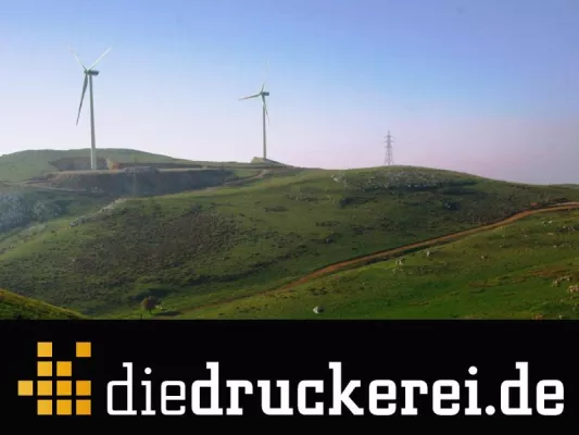 Fünf Prozent der Kunden von diedruckerei.de bestellen Drucksachen klimaneutral Bild: Fünf Prozent der Kunden von diedruckerei.de bestellen Drucksachen klimaneutral