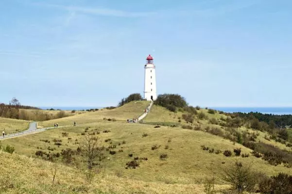Ferienhaus Hiddensee: Mit der Pferdekutsche zum Leuchtturm Bild: Ferienhaus Hiddensee: Mit der Pferdekutsche zum Leuchtturm