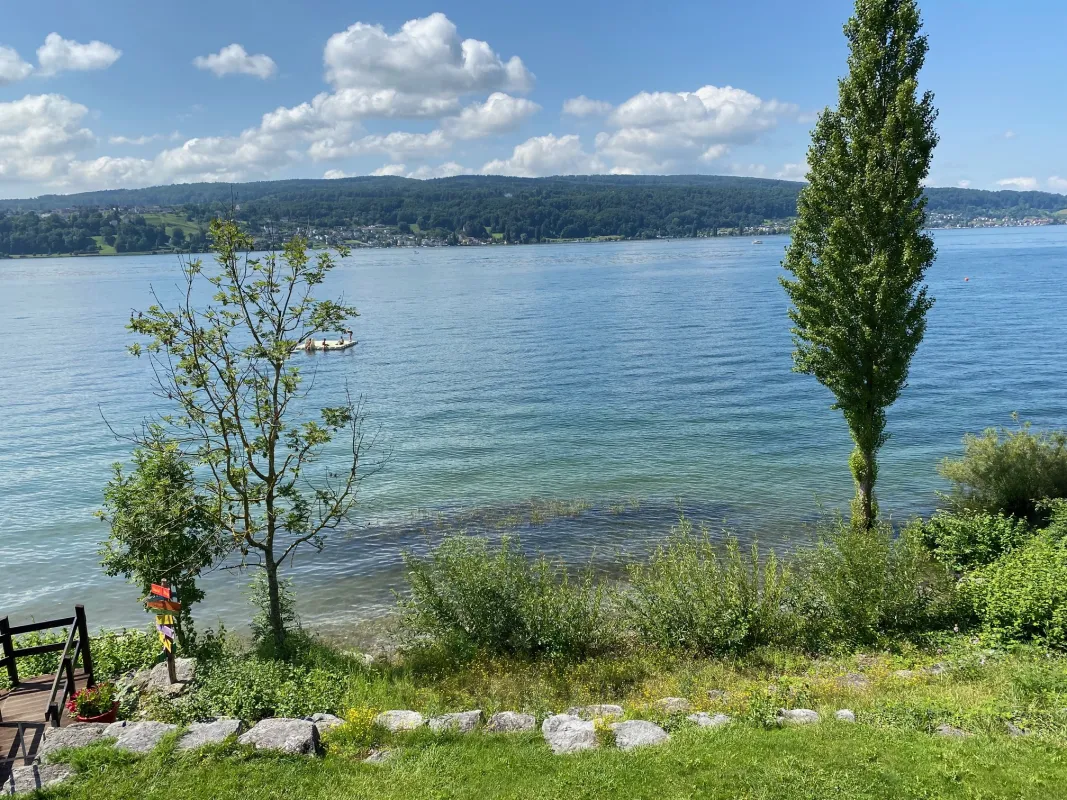 Unser Blick vom Seminarraum auf den Bodensee (© Gerda Schneider)
