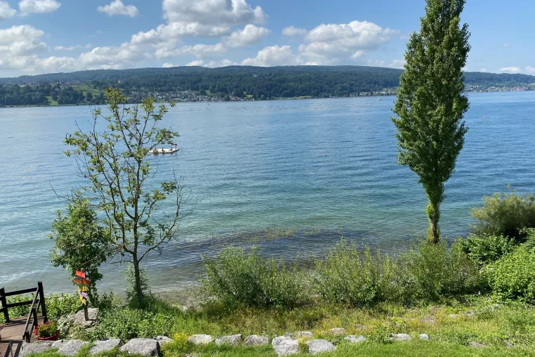 Bild: Achtsame Auszeit auf der Insel Reichenau