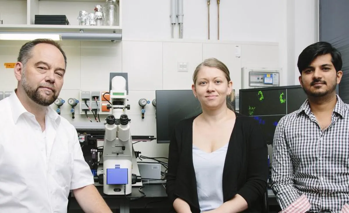 Prof. Dr. Oliver Stork, Dr. Dr. Anne Albrecht und Syed Ahsan Raza (v.li.n.re.) haben herausgefunden, wie unser Gehirn die Speicherung von unterschiedlich wichtigen Informationen kontrolliert. (Foto: H