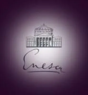 18. Internationales George Enescu Festival repräsentierte erfolgreich das neue EU-Mitgliedsland Rumänien Bild: 18. Internationales George Enescu Festival repräsentierte erfolgreich das neue EU-Mitgliedsland Rumänien