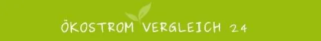 Bild: Ökostromvergleich24 am Weltumwelttag 2012