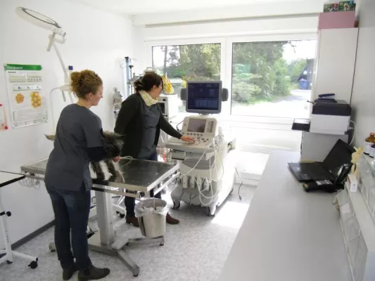 Bild: Kleintierpraxis in ELA Raummodul - Temporäres Behandlungszimmer für tierische Patienten