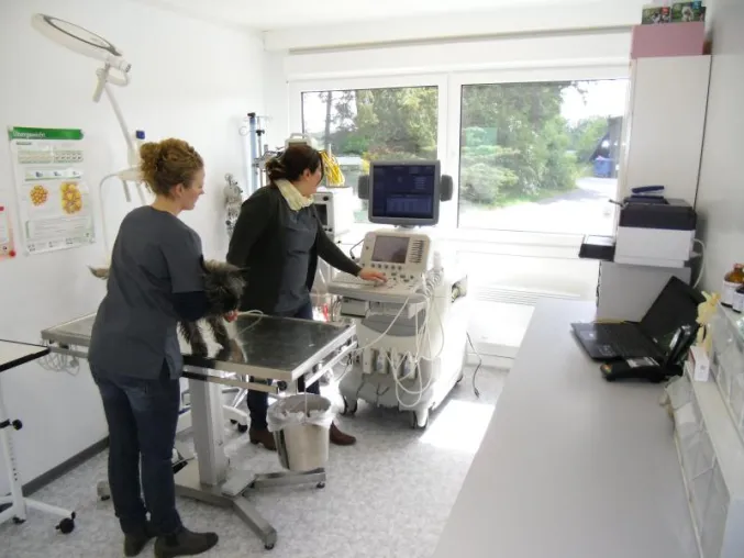 Bild: Kleintierpraxis in ELA Raummodul - Temporäres Behandlungszimmer für tierische Patienten