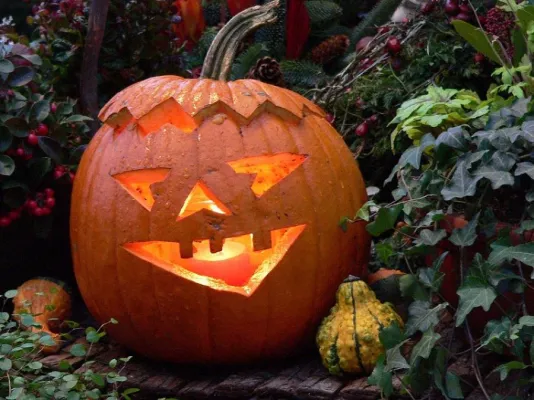 Bild: Grusel-Licht: Dekorationen mit Kerzen zu Halloween