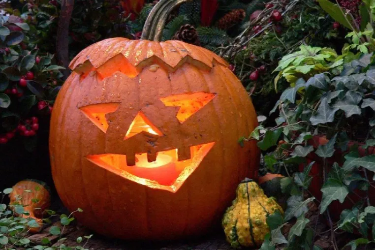 Grusel-Licht: Dekorationen mit Kerzen zu Halloween Bild: Grusel-Licht: Dekorationen mit Kerzen zu Halloween