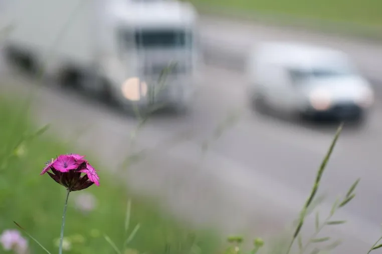 Bild: Hin und her bei den Dieselfahrverboten – eine Chronik voreilig gezogener Schlussfolgerungen