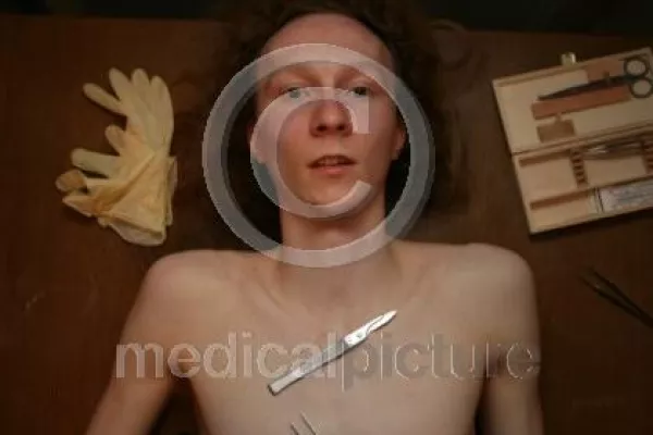 Bild: Marktführer mit besten Aussichten - medicalpicture peilt für 2009 weiteren Umsatzrekord an
