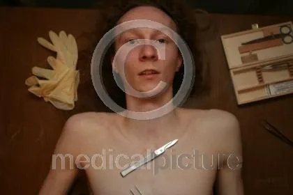 Bild: Marktführer mit besten Aussichten - medicalpicture peilt für 2009 weiteren Umsatzrekord an
