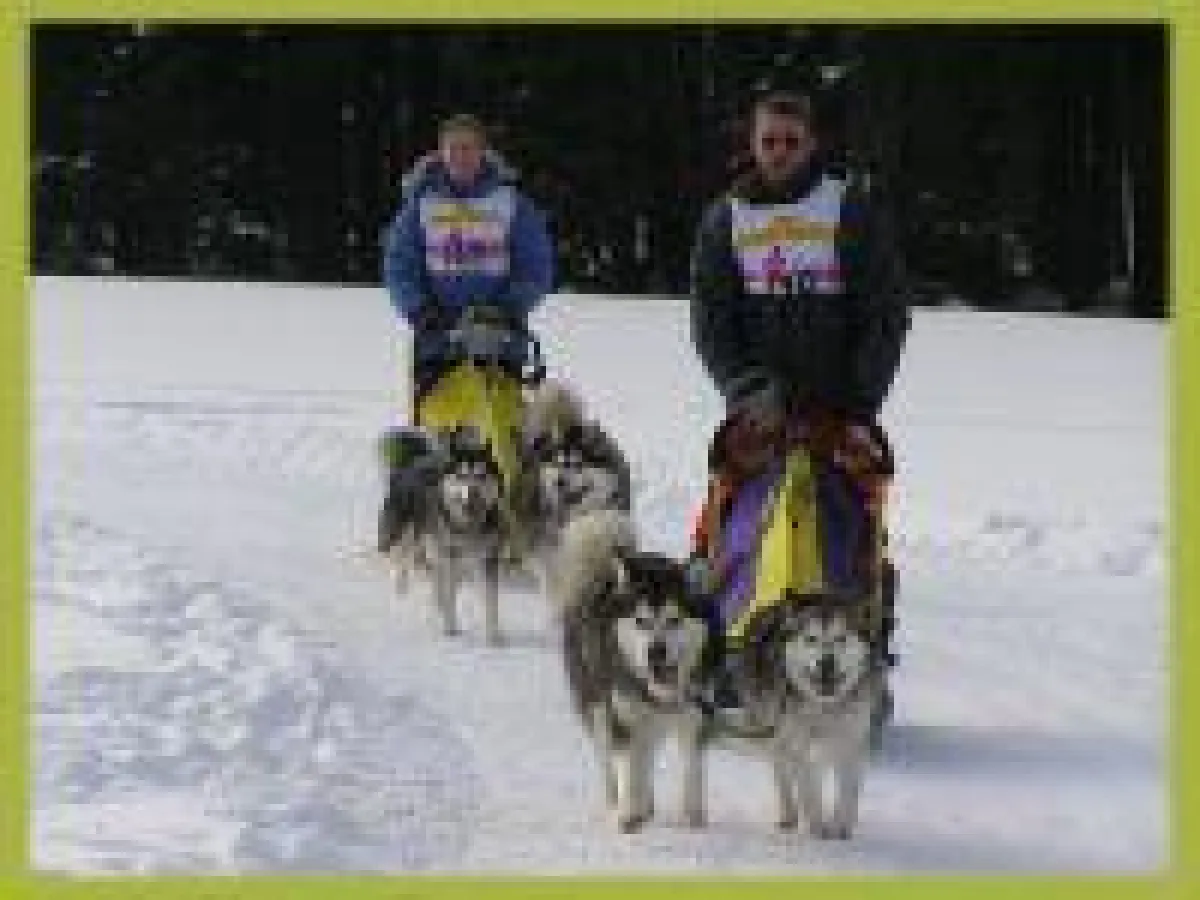 Hundeschlittenrennen in Haidmühle im verschneiten Bayerischen Wald