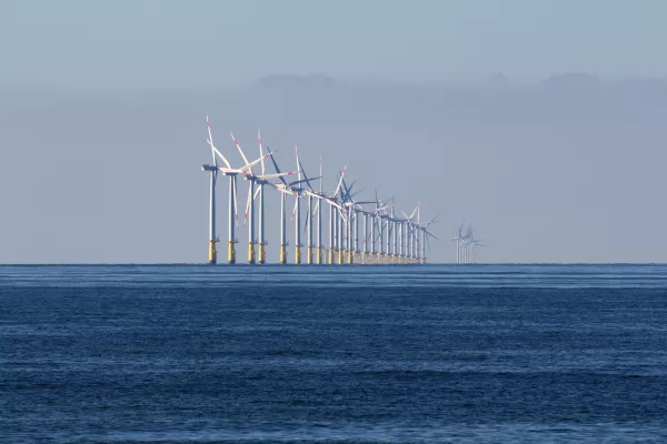 Bild: Globale Biodiversitätsziele: Forschende plädieren für systematische Erhaltungsplanung