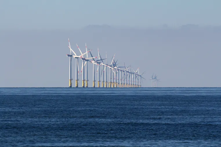 Bild: Globale Biodiversitätsziele: Forschende plädieren für systematische Erhaltungsplanung