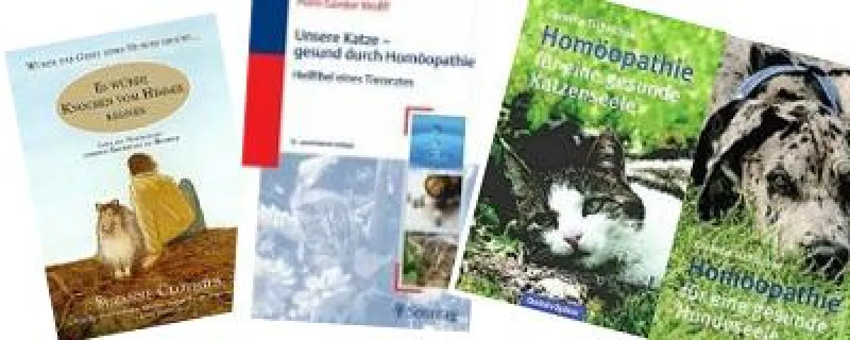 Vorgestellte Buchtipps