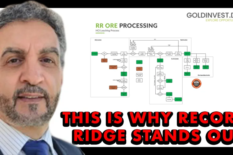 Bild: Interview: W.H.Y. Resources - Das macht Record Ridge so besonders!