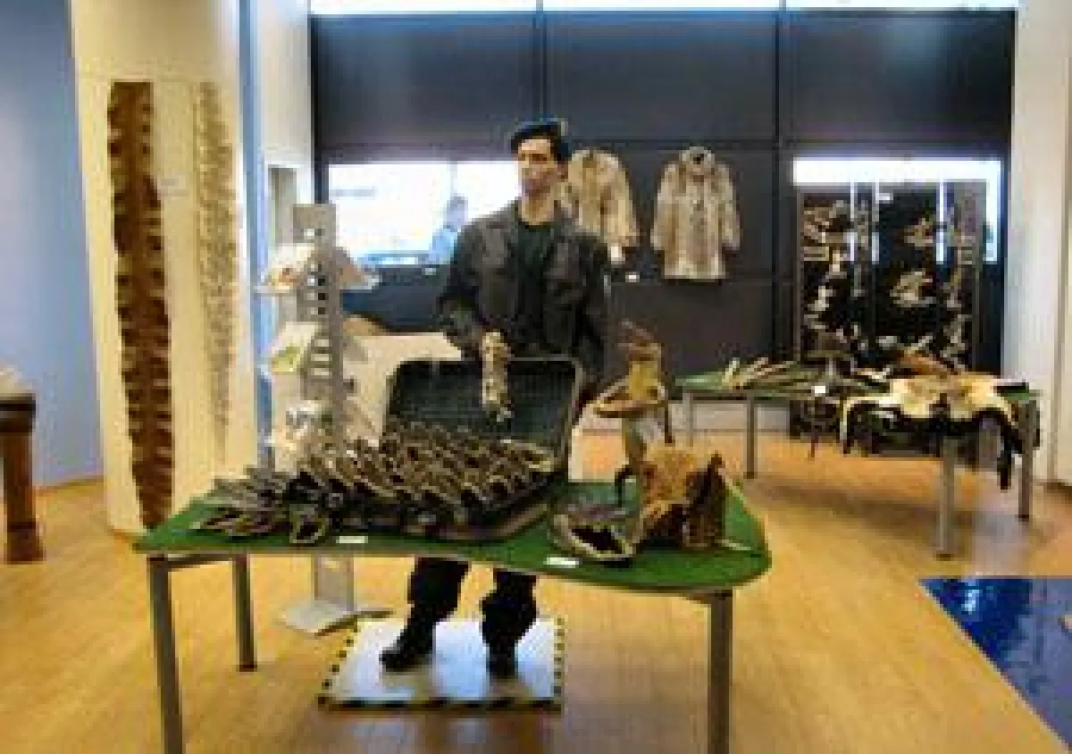 Der Zoll warnt mit Ausstellungen vor dem Kauf exotischer Souvenirs