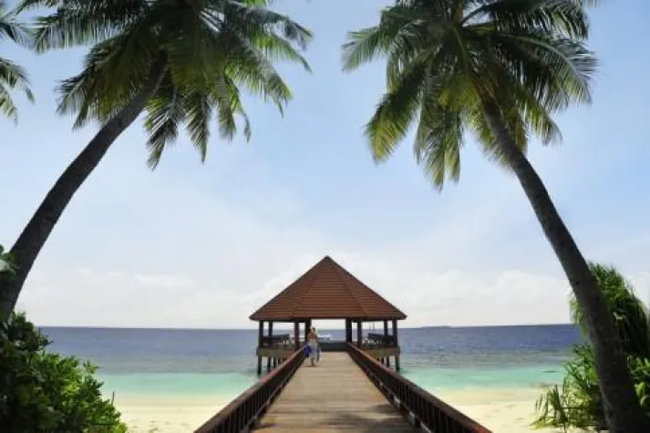 Bild: Robinson zum 40.ten Jubiläumsjahr mit immerwährenden „Emotions“