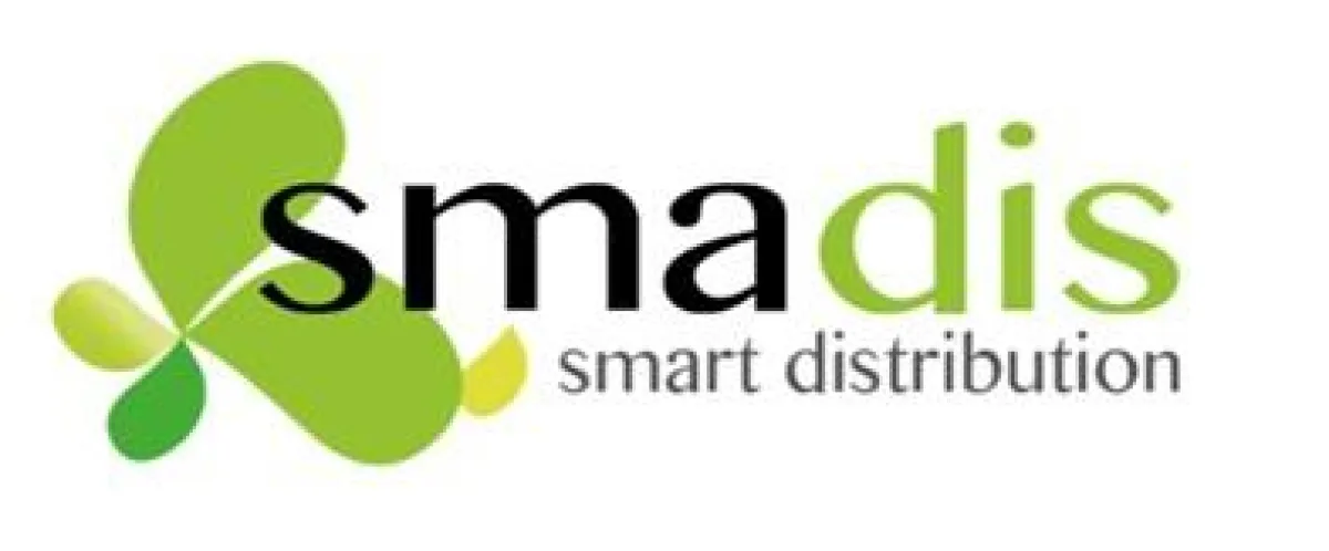 SMADIS - The Realtime-Content-Cloud