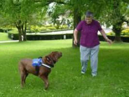 Bild: Therapiehund Sammy: Immer ein Highlight