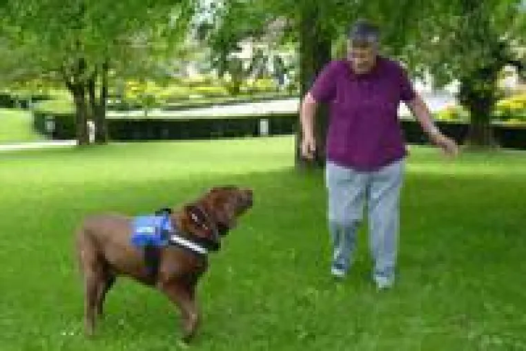 Bild: Therapiehund Sammy: Immer ein Highlight
