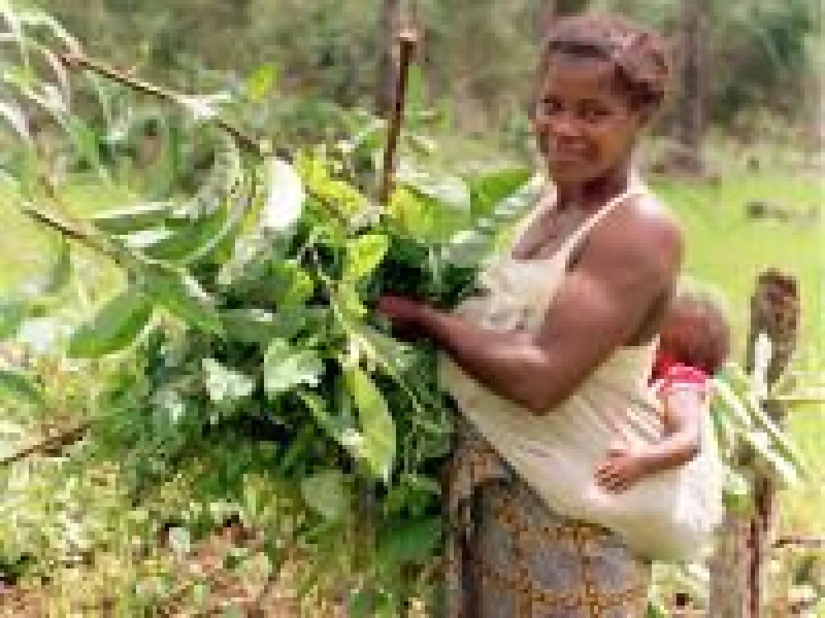 World Vision Österreich