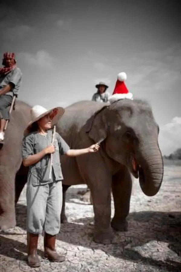 Weihnachten im Anantara Golden Triangle