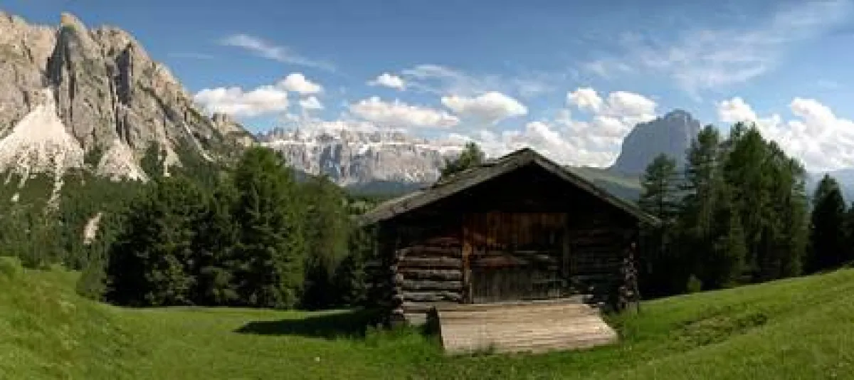 Flora und Fauna im Grödnertal
