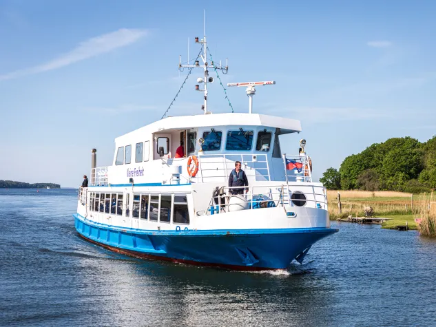 Bild: Robbenfahrten - das etwas andere Urlaubshighlight auf Rügen