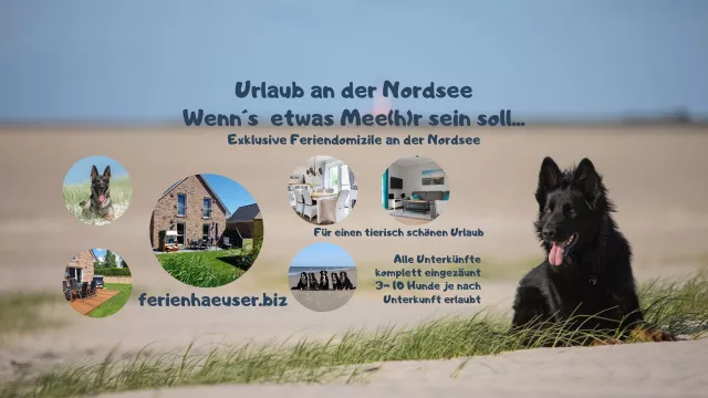 Bild: Urlaub mit Hund im Nationalpark Wattenmeer - Unterkünfte und Tipps - Urlaub mit dem Hund an der Nordsee