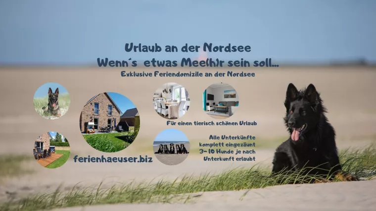 Bild: Urlaub mit Hund im Nationalpark Wattenmeer - Unterkünfte und Tipps - Urlaub mit dem Hund an der Nordsee