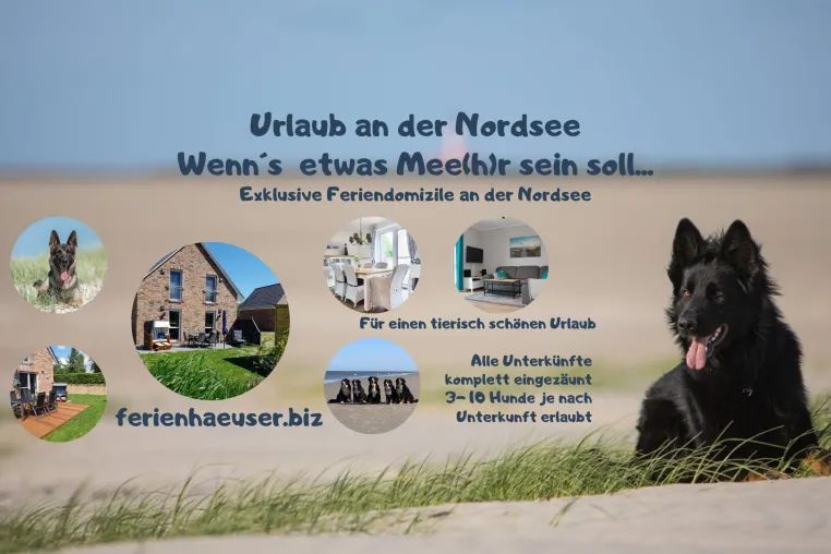 Urlaub mit Hund im Nationalpark Wattenmeer - Unterkünfte und Tipps - Urlaub mit dem Hund an der Nordsee Bild: Urlaub mit Hund im Nationalpark Wattenmeer - Unterkünfte und Tipps - Urlaub mit dem Hund an der Nordsee
