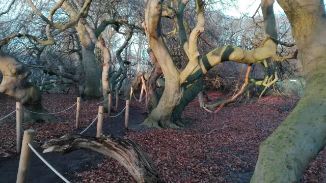 Bild: Brief aus der Zukunft - offener Brief an die Bundesregierung